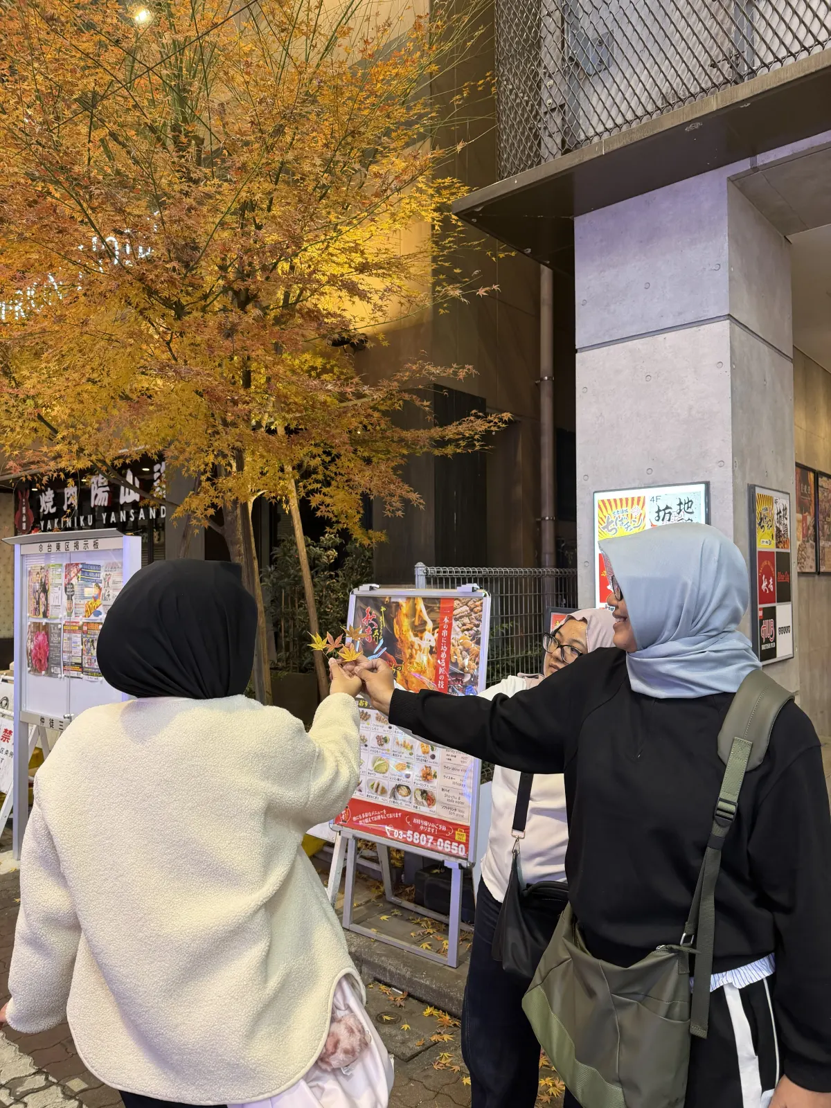 Golden Autumn Japan 7D5N
