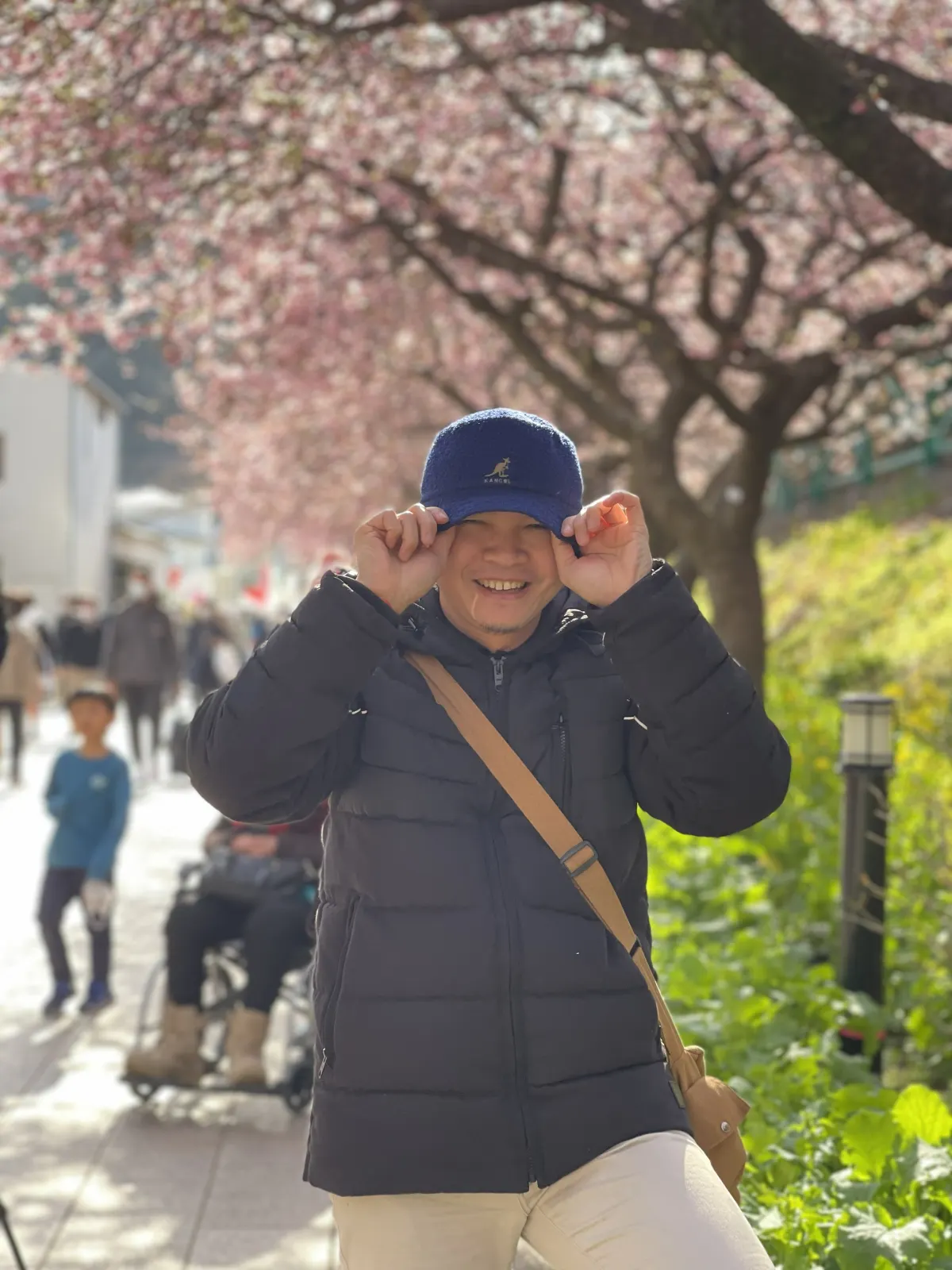 Galeri Hello, Sakura!