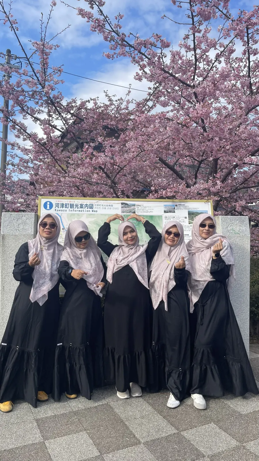 Japan in Blooms