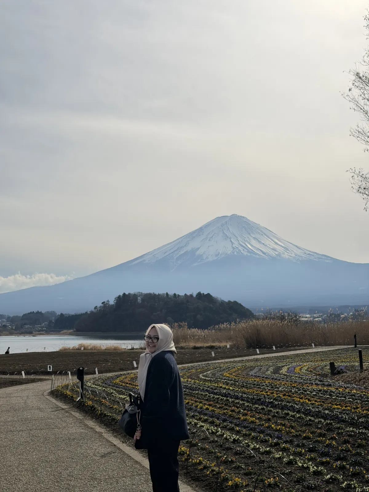 Galeri Japan Winter Radiance