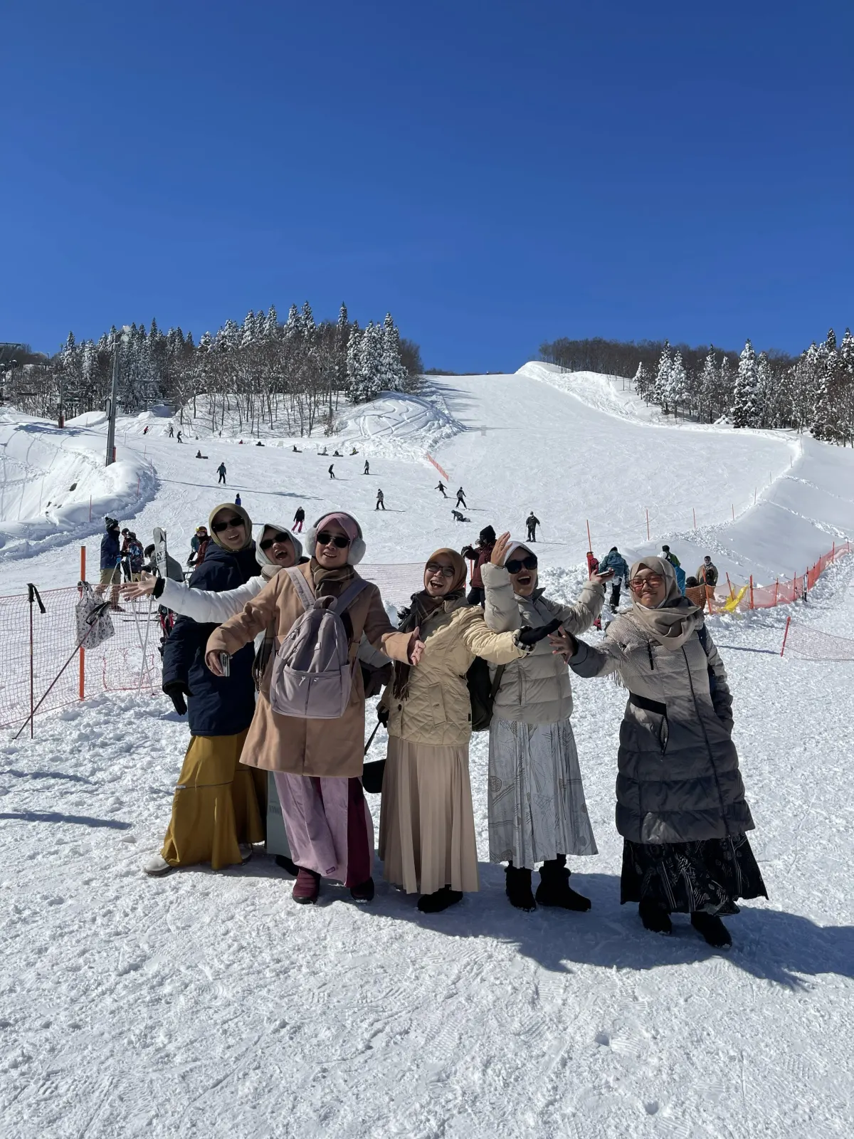 Winter Signature in Japan